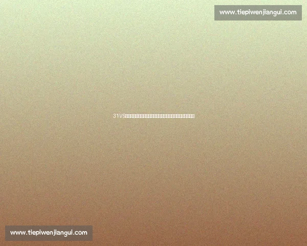 31VS贝塔深度对比解析谁将引领下一代智能变革与应用前景全解析